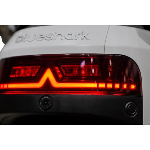 BlueShark Rear Light.jpg