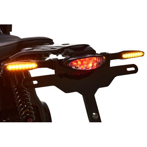 Caofen F80 Road-Legal Rear Lights.jpg