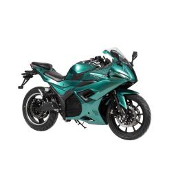 NewBot Storm Electric Motorbike Green 79.jpg
