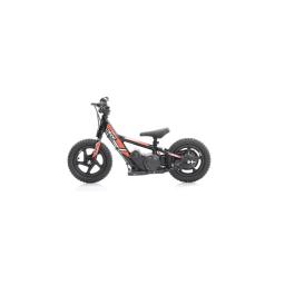 Ravvi 12 Electric Bike (12).jpg