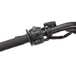 ERide Pro V3 (11).jpg