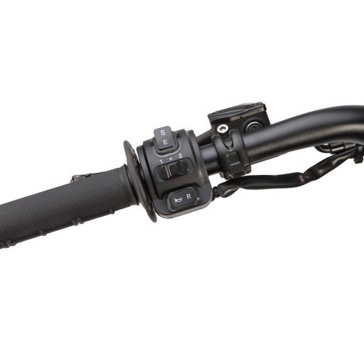 ERide Pro V3 (11).jpg