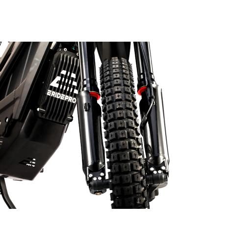 ERide Pro V3 (14).jpg