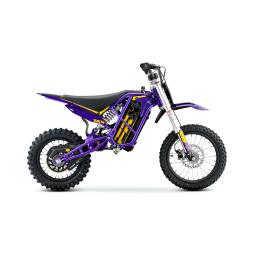Stomp Ebox V3 60R Purple Gold Ebike.jpg