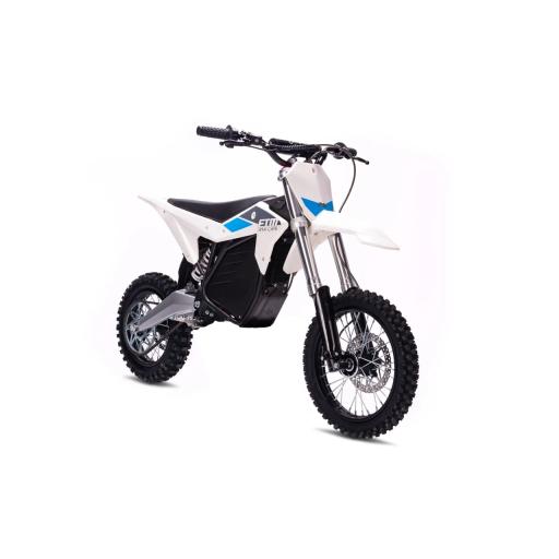 Electro & Co RTR Lite Electric Trails Bike (3).jpg