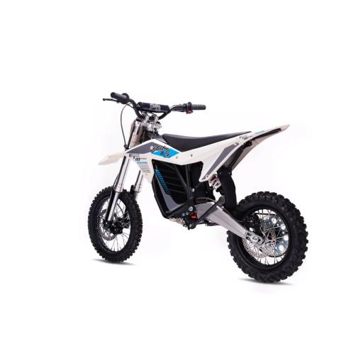 Electro & Co RTR Electric Trails Bike (6).jpg