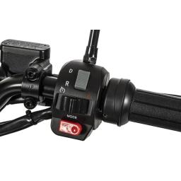 Askoll XRP Escape Detail (5).jpg