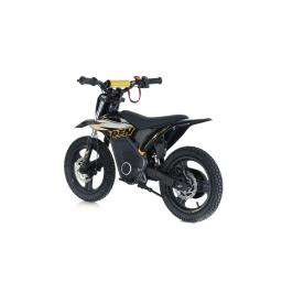RFN Warrior E500 Black Gold Kids Ebike  (3).jpg
