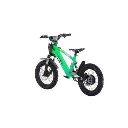 Revvi 16XL Electric Kids Bike (1).jpg