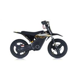 RFN Warrior E500 Black Gold Kids Ebike  (1).1.jpg