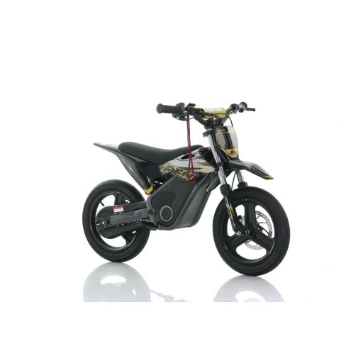 RFN SX E700 Black Gold Kids Ebike (1).jpg