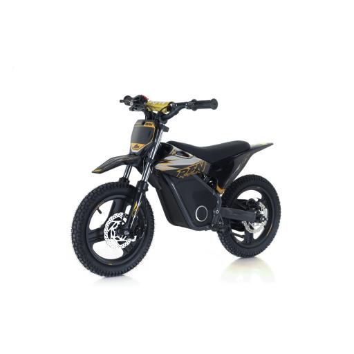 RFN Warrior E500 Black Gold Kids Ebike  (4).jpg