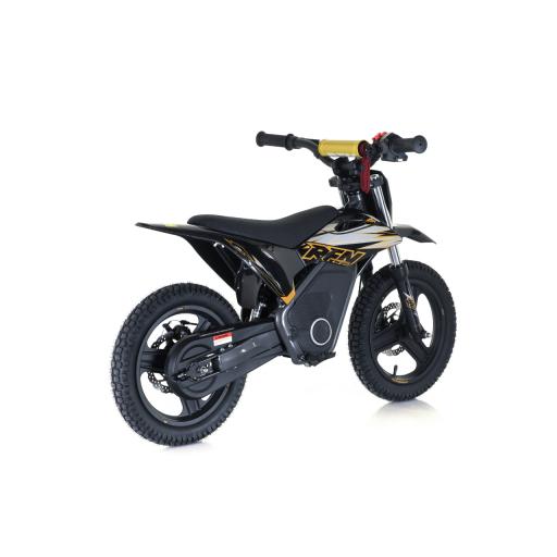 RFN Warrior E500 Black Gold Kids Ebike  (5).jpg
