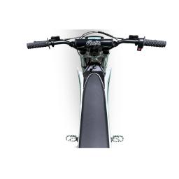 Electro & Co RTR Sport MX EBike (8).jpg