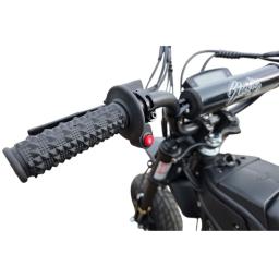 Electro & Co RTR Rizzler Pit Bike (5).jpg