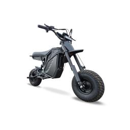 Electro & Co RTR Rizzler Pit Bike (2).jpg