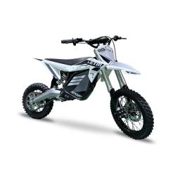 Electro & Co RTR Sport MX EBike (2).jpg