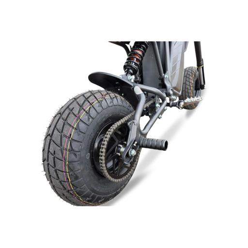 Electro & Co RTR Rizzler Pit Bike (1).jpg