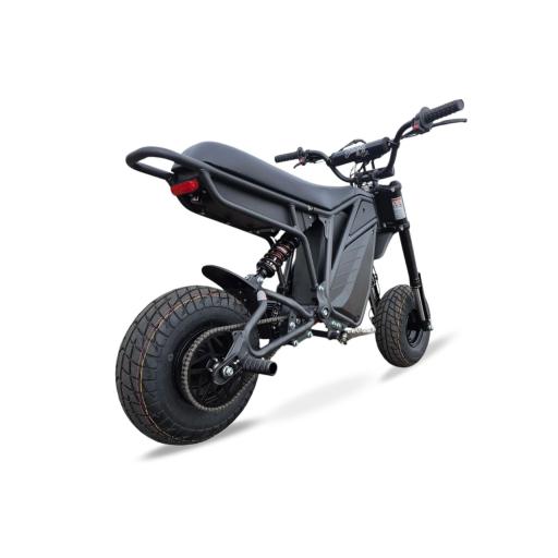 Electro & Co RTR Rizzler Pit Bike (6).jpg