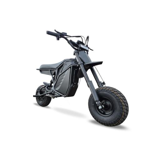 Electro & Co RTR Rizzler Pit Bike (2).jpg